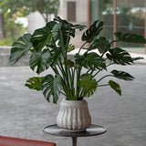 Monstera artificial
