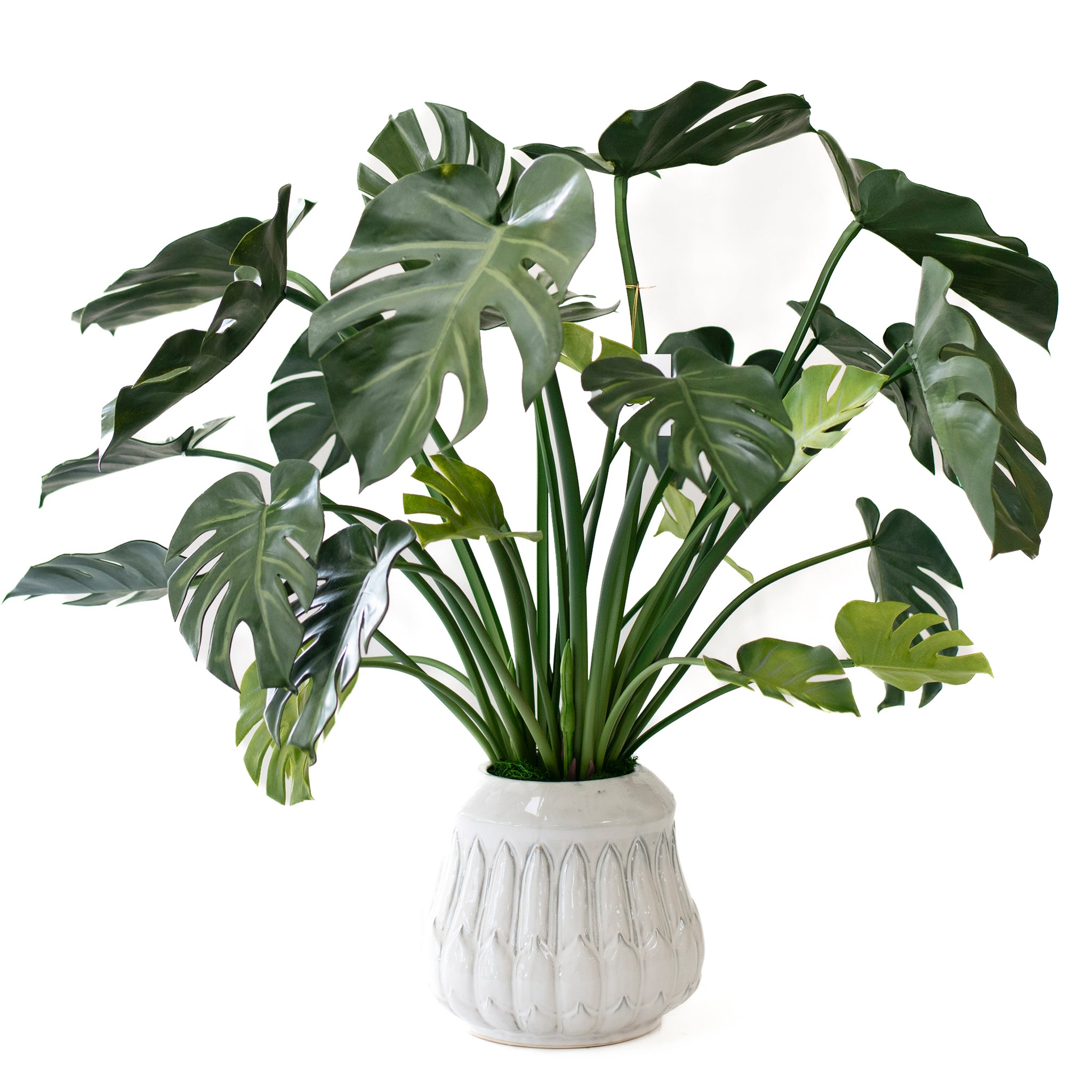 Monstera artificial
