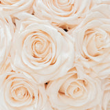 Base Luxe (Perla) - Rosas Eternas