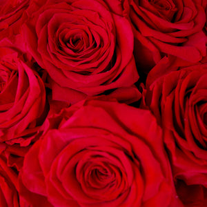 Base Luxe (Rojo) - Rosas Eternas