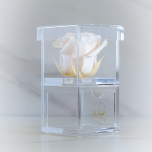 Joyero Mini (Perla) - Rosas Eternas