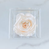 Joyero Mini (Perla) - Rosas Eternas