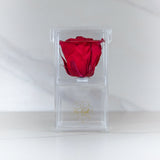 Joyero Mini (Rojo) - Rosas Eternas