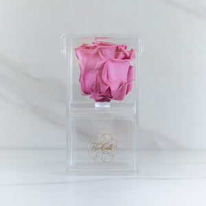 Joyero Mini (Lila) - Rosas Eternas